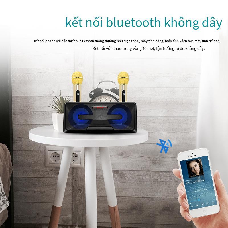 Đảm bảo chất lượng SD301 một cho hai gia đình KTV âm thanh bluetooth nhiều chế độ micro kép điệp khúc đôi karaoke di động