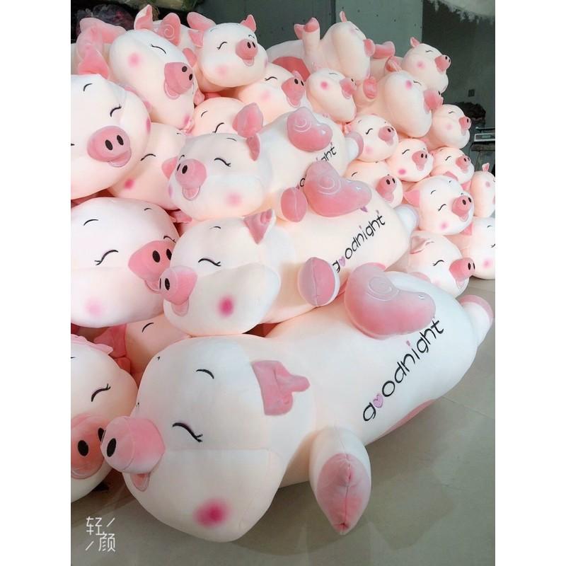 Gấu bông Heo nằm Goodnight, Heo thiên thần, Heo cánh tiên
