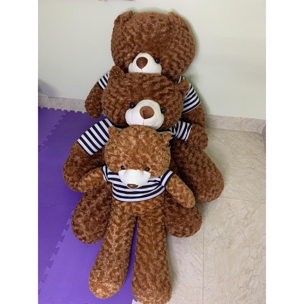 Gấu Bông Teddy 0,95m-1m1-1m3 Gấu Bông To, Gối Ôm Hình Thú Teddy Nâu Bự Khổng Lồ Siêu Đáng Yêu - MH06