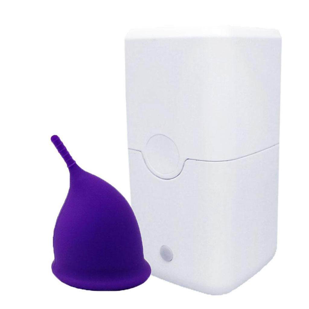 Mini UV LED Sterilizer Sanitization Box for Razors, Nail Scissors,Glasses,Make Up Tools