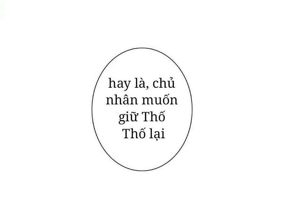 phi thiên địch tự dưỡng đích khẩu tử chapter 13 28