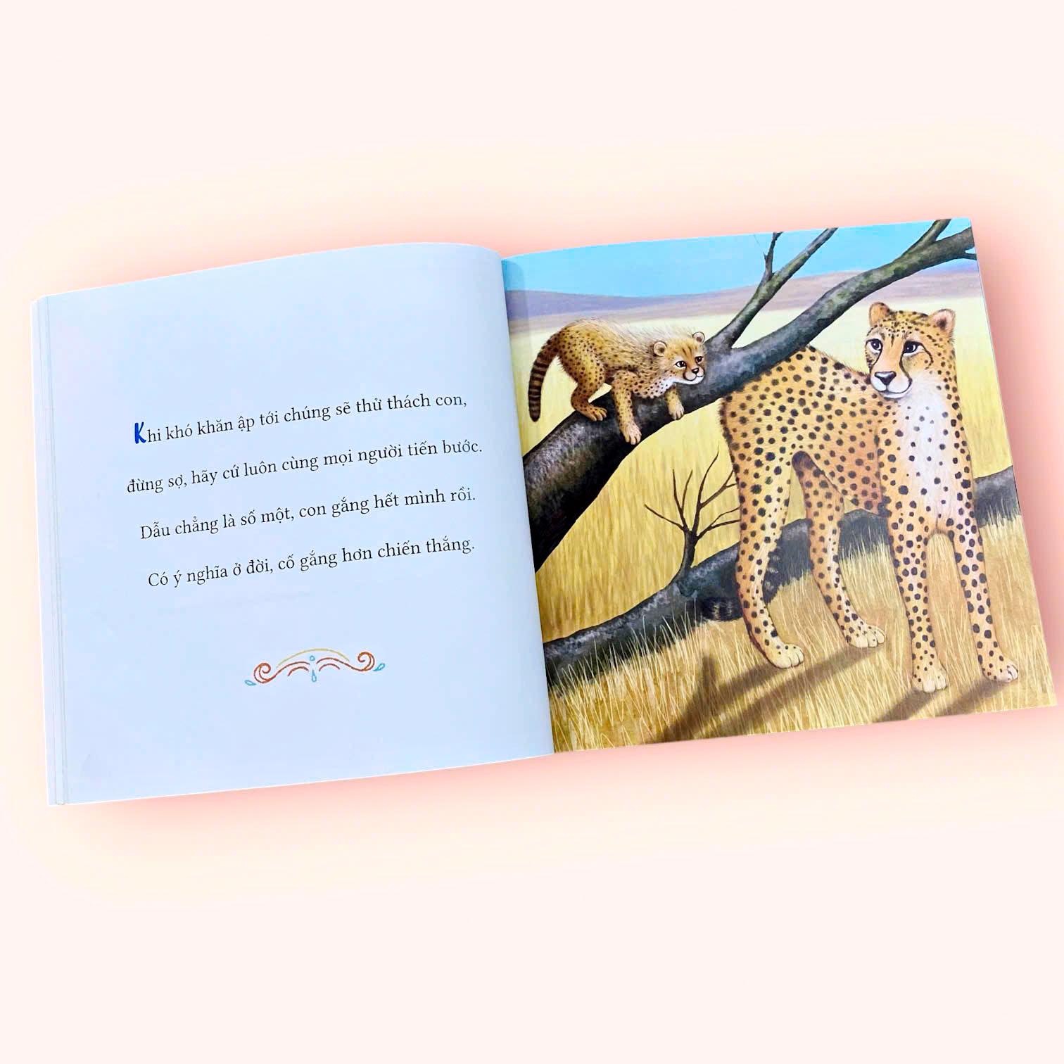 Sách - Vì Sao Con Trai Cần Bố - Tác giả Gregory E. Lang - Sách tranh