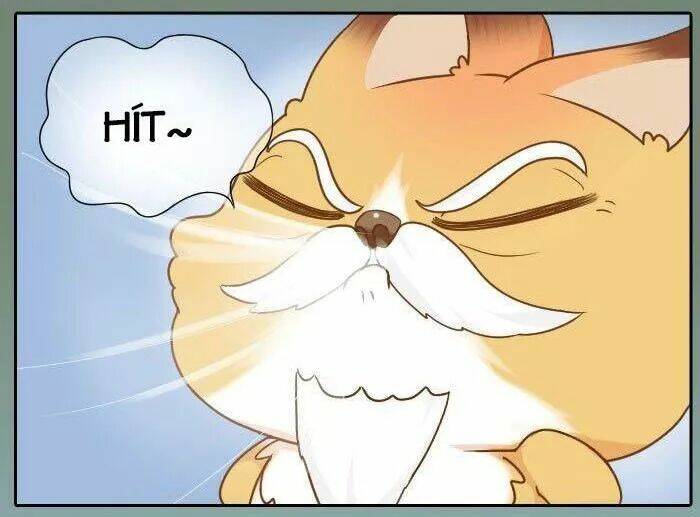 tiểu hồ ly vs tiểu hóa thượng chapter 62 12