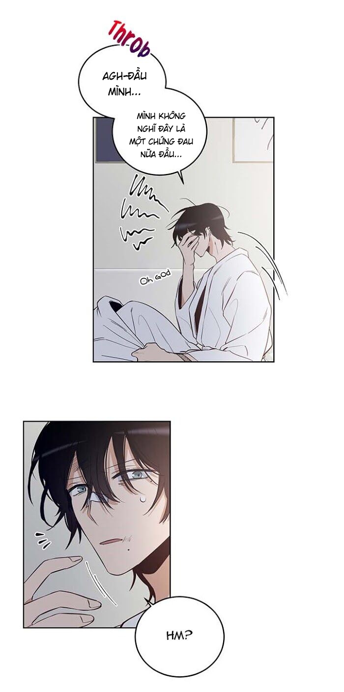 thành phố cạm bẫy chapter 9 30