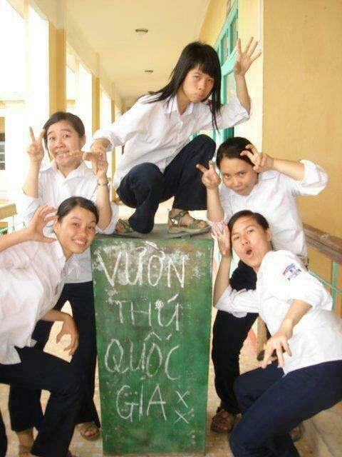 rage comic-troll chapter 52 9