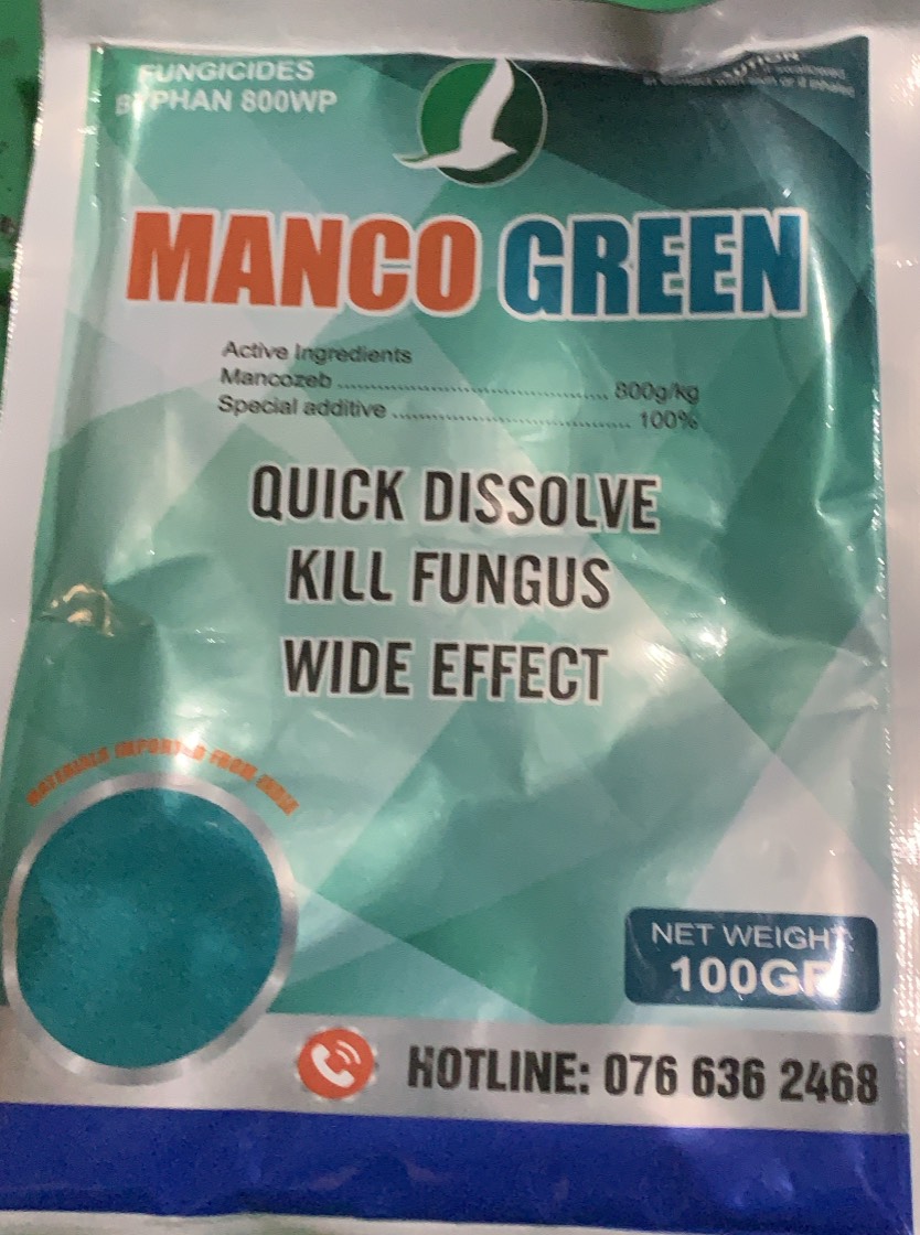 Sản phẩm bảo vệ cây trồng Mancozeb Manco Green 100gr