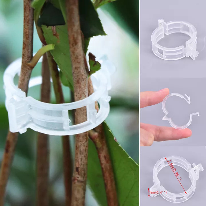 VÒNG KẸP NHỰA TRẮNG DÙNG ĐỂ NÍU, GIỮ THÂN CÂY.