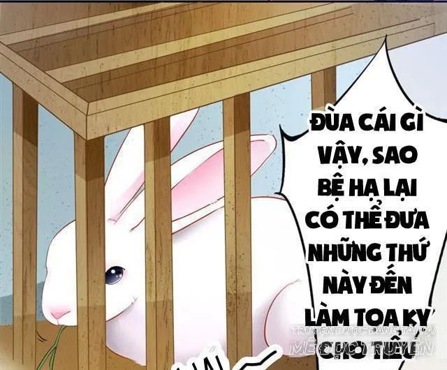 tuyệt thế luyện đan sư chapter 10 6