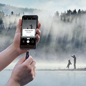 ddc3-05.jpg?v=1586231115978