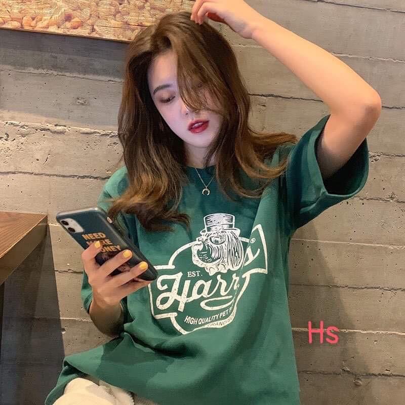 Áo EST chó đội mũ HS42