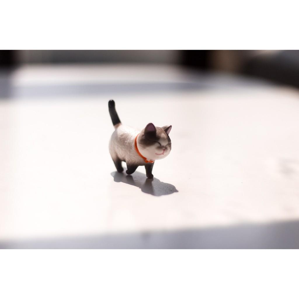 [1 mèo ngẫu nhiên] Mô hình mèo bi đi bộ để bàn mini, tiểu cảnh, trang trí bàn học, bàn làm việc, tủ sách