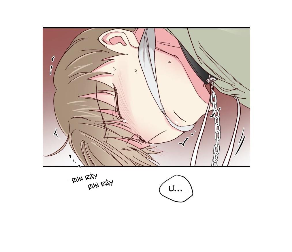 món tráng miệng của sếp tổng chapter 57 35