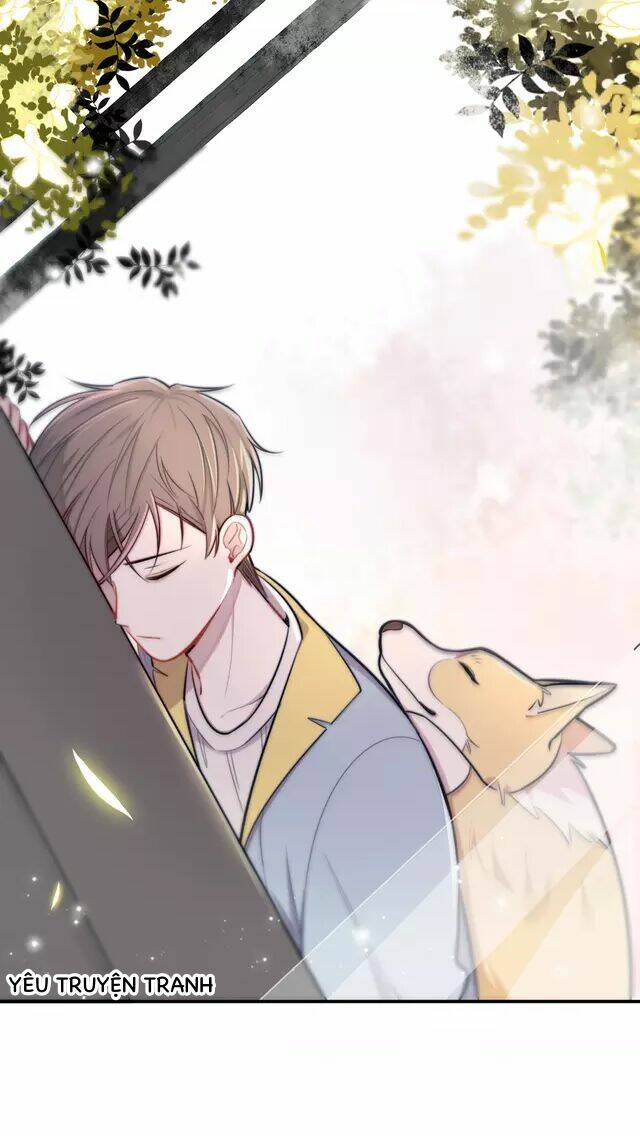 tình yêu trên cùng một dòng chapter 3.2 14