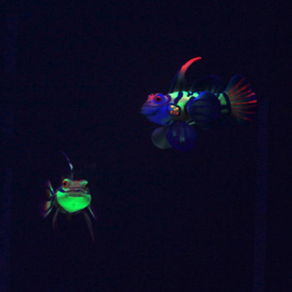 Aquarium Ornament Decoration