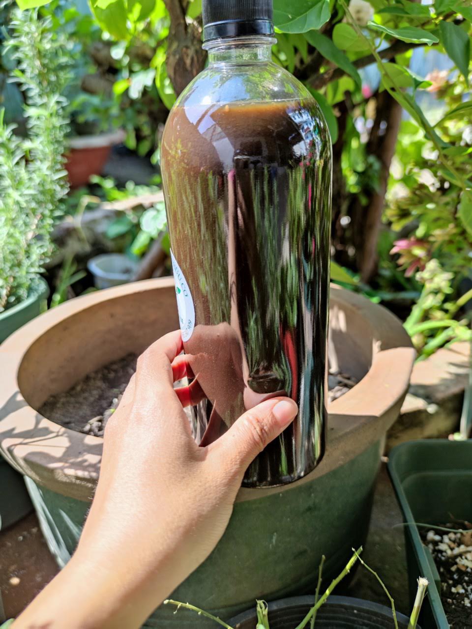 Combo 4 chai - Dịch trứng, chuối, đậu nành, humic, sữa tươi - Phân bón cao cấp cho hoa hồng, hoa lan, hoa kiểng