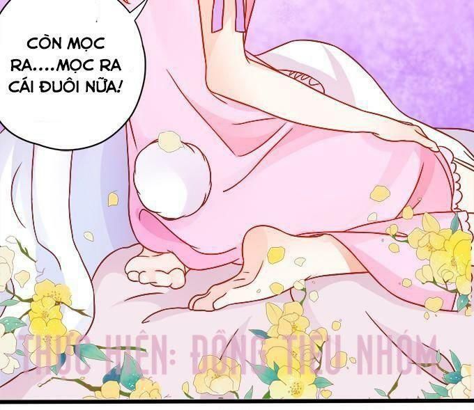 hồ tiên hung bạo chapter 12 46