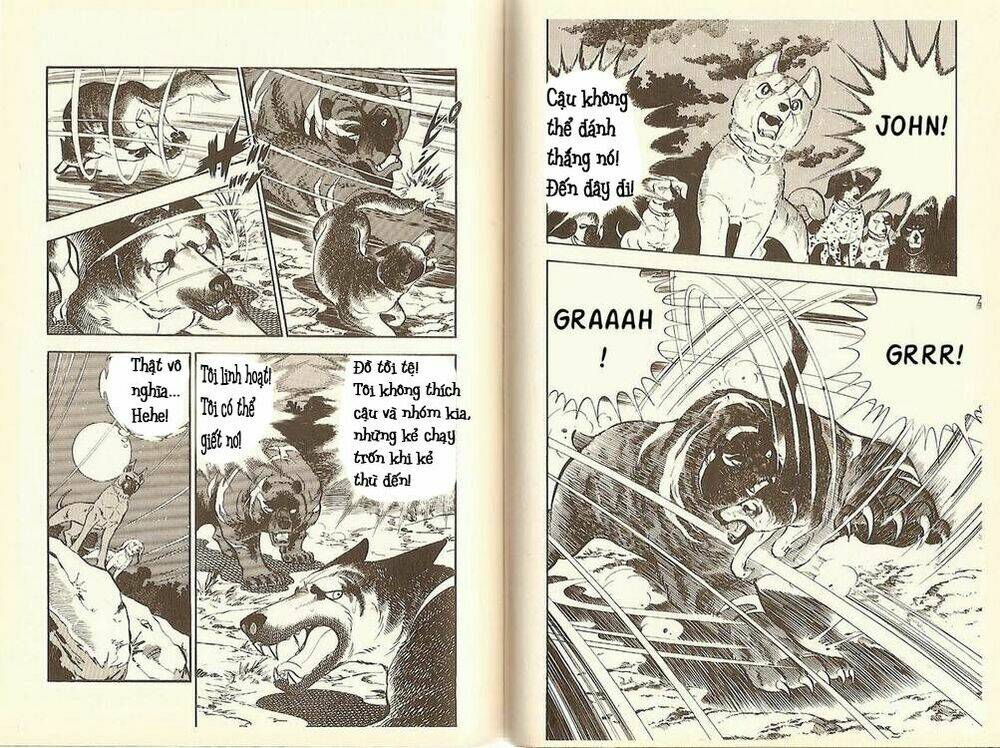 chú chó có nghĩa - ginga nagareboshi gin chapter 10 24