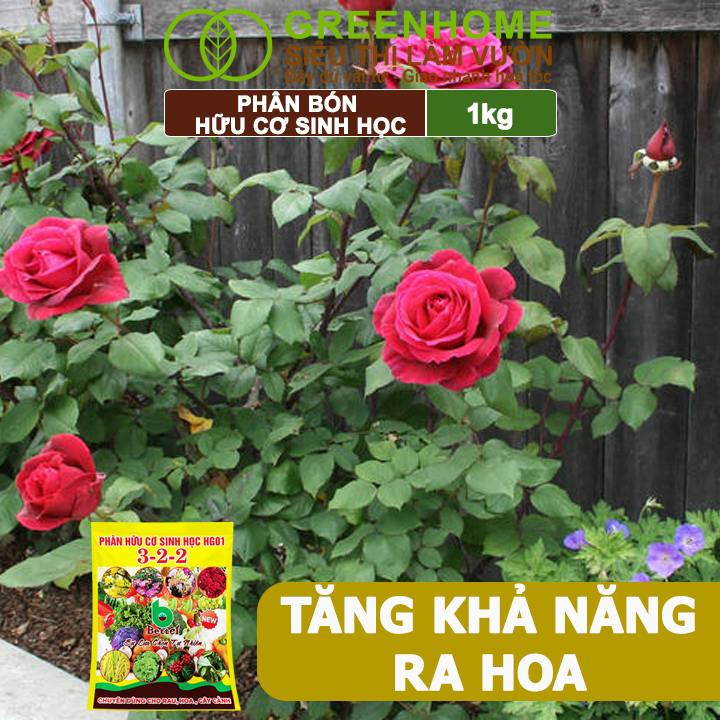 Phân Bón Hữu Cơ Greenhome, Better, Bao 1kg, Sinh Học Giúp Cây Khoẻ, Ổn Định, Sai Hoa, Đậu Trái
