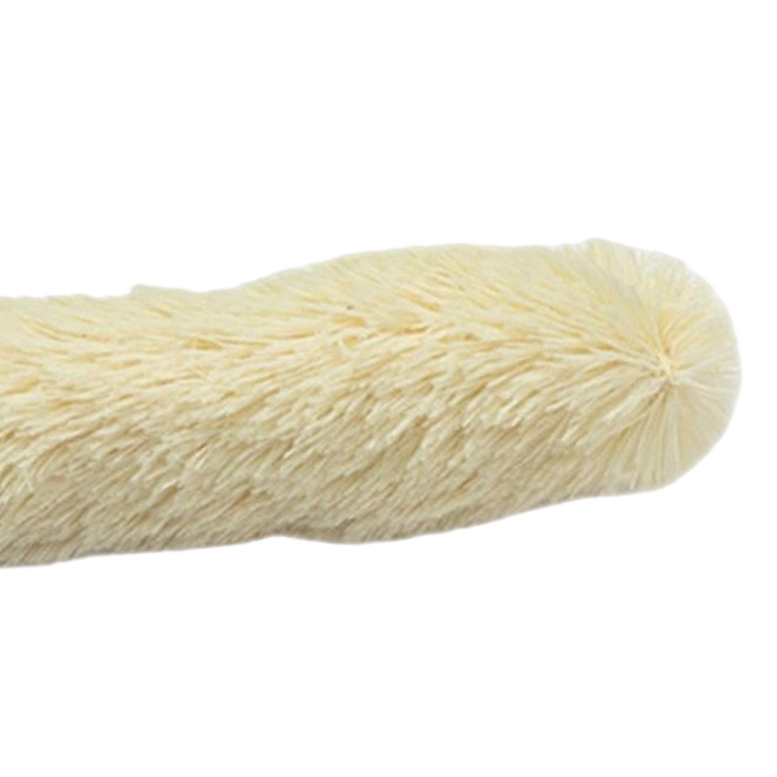 2 Cat Catnip Toy Chewing Durable Scratching Training toy for Indoor