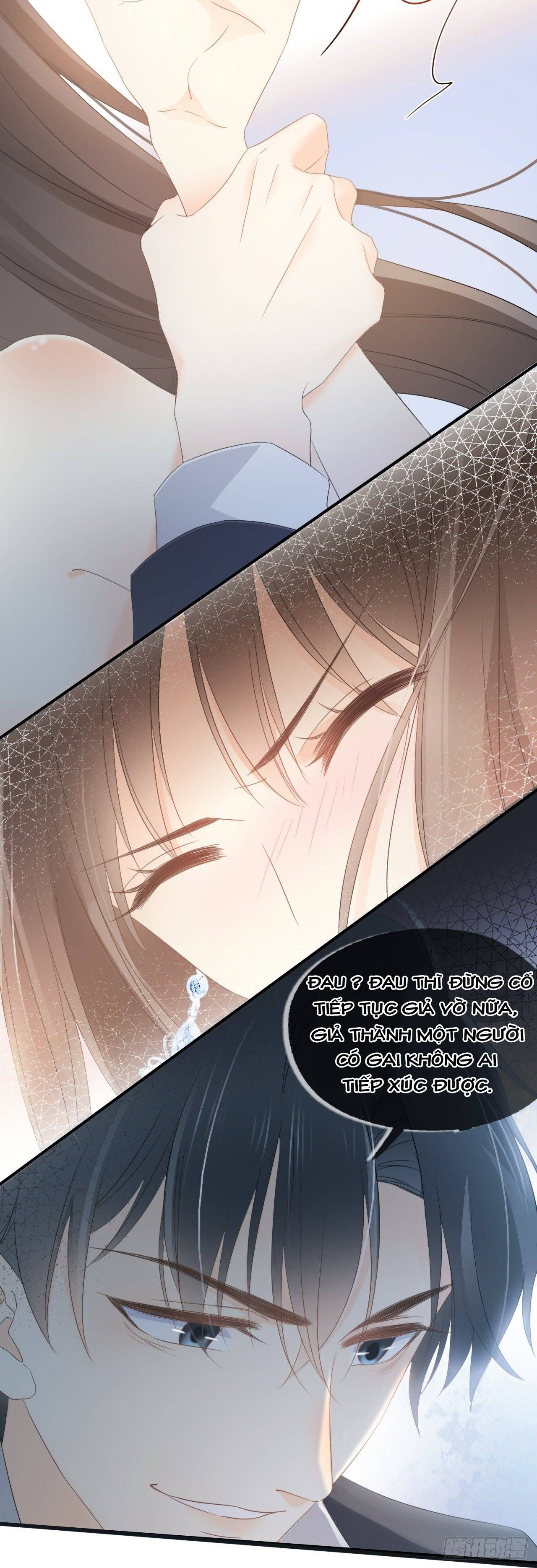 cô ấy và hoa hồng trắng chapter 0 12