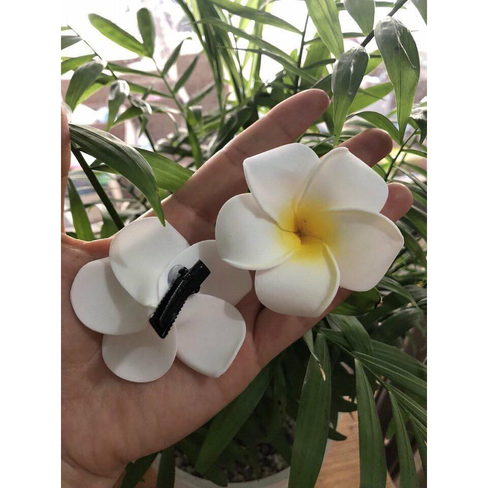 Combo 10 kẹp tóc hoa đại