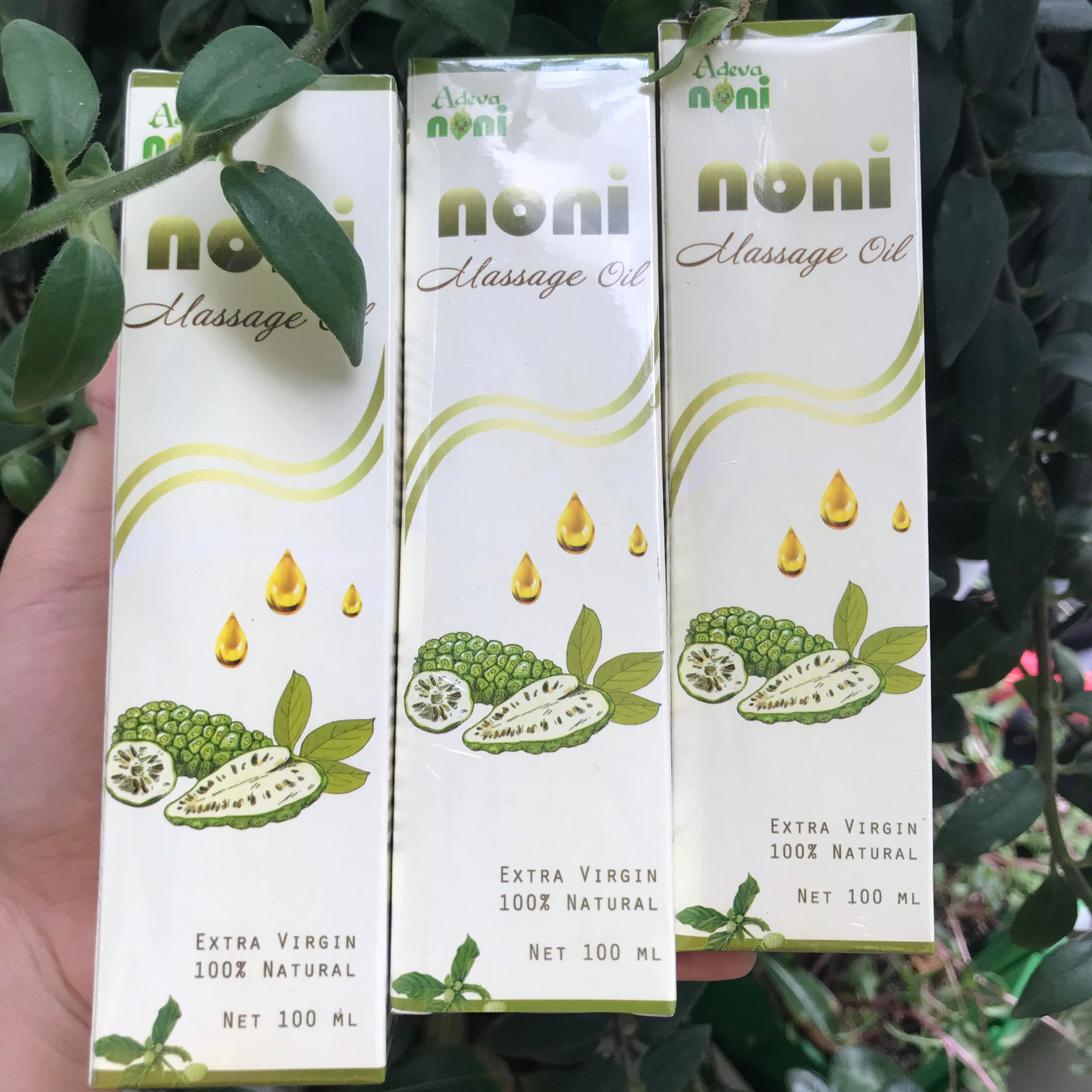 SET 3 chai Dầu Trái nhàu Adeva Naturals (100 ml/ 1 chai) - Noni massage oil - Dưỡng ẩm cho da mềm mại, chống lão hóa, cho da đều màu - Được người Hàn quốc ưa chuộng