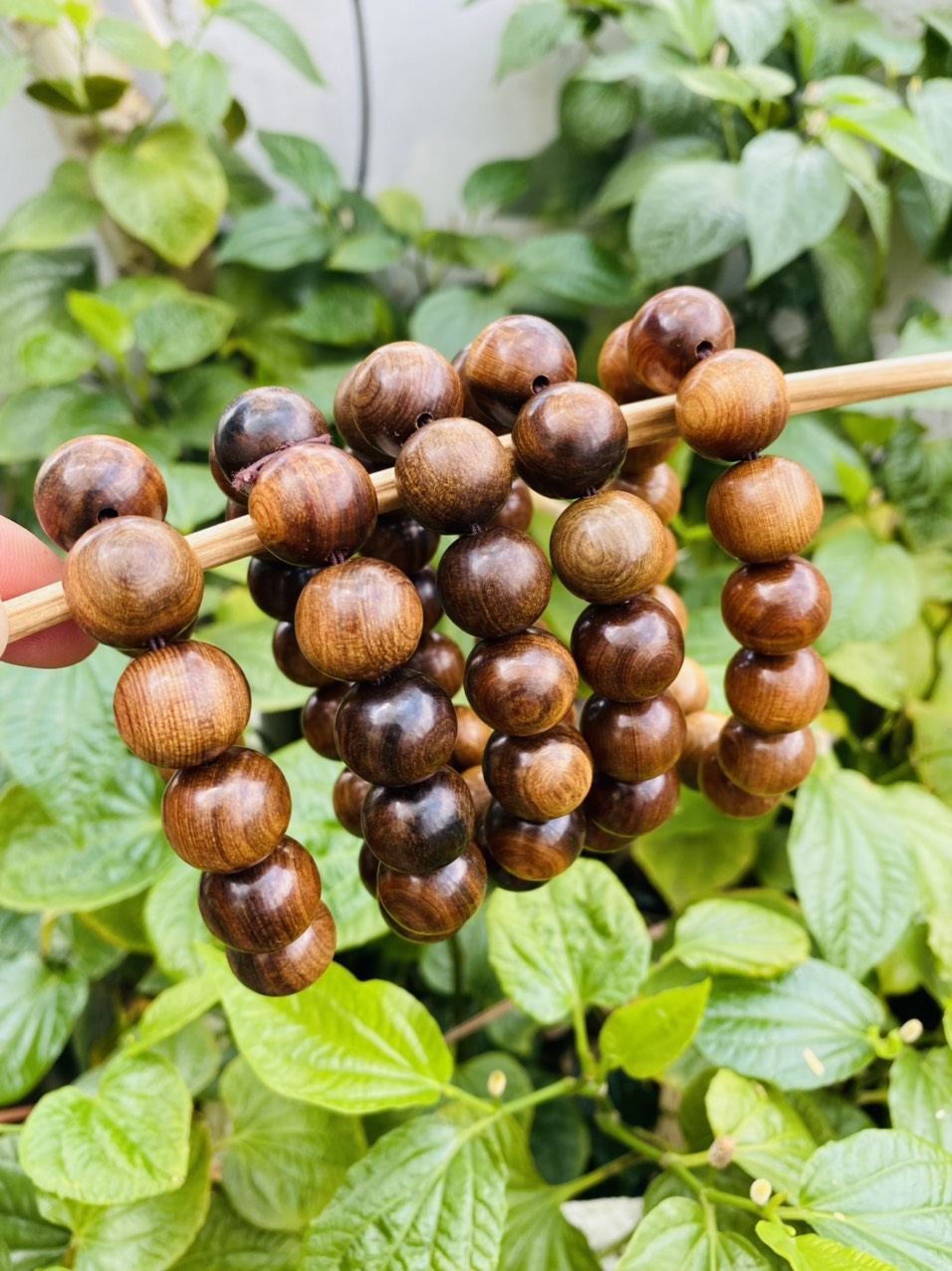 Vòng chuỗi đeo tay bách xanh Mộc Châu