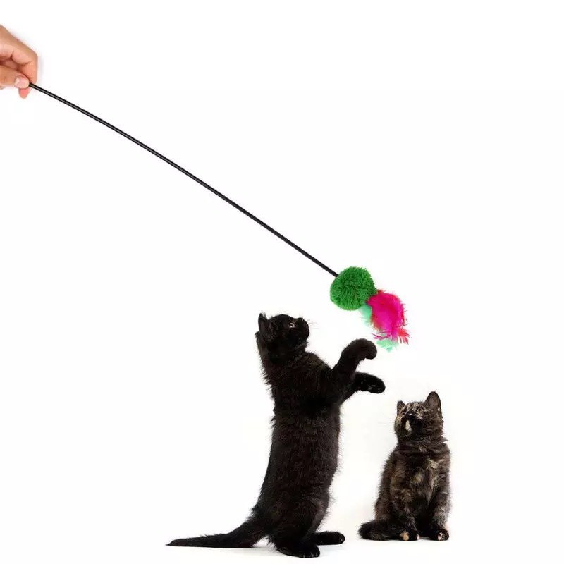 Cây Đồ Chơi Chọc Mèo Bằng Nhựa Có Lông Gà Đa Màu Sắc Dài 60cm – Giao Màu Ngẫu Nhiên – SP000508