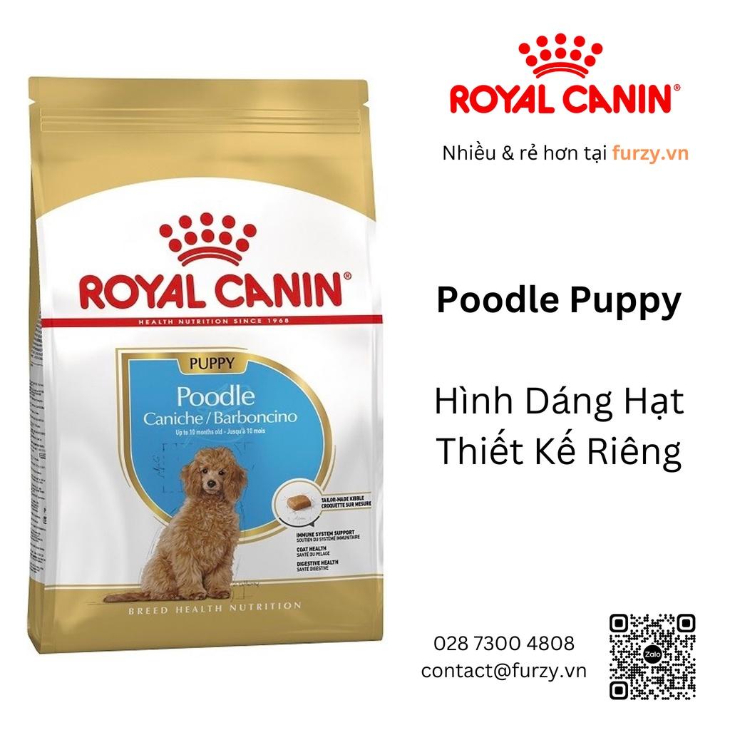 Royal Canin Thức Ăn Hạt Cho Chó Con Poodle Puppy