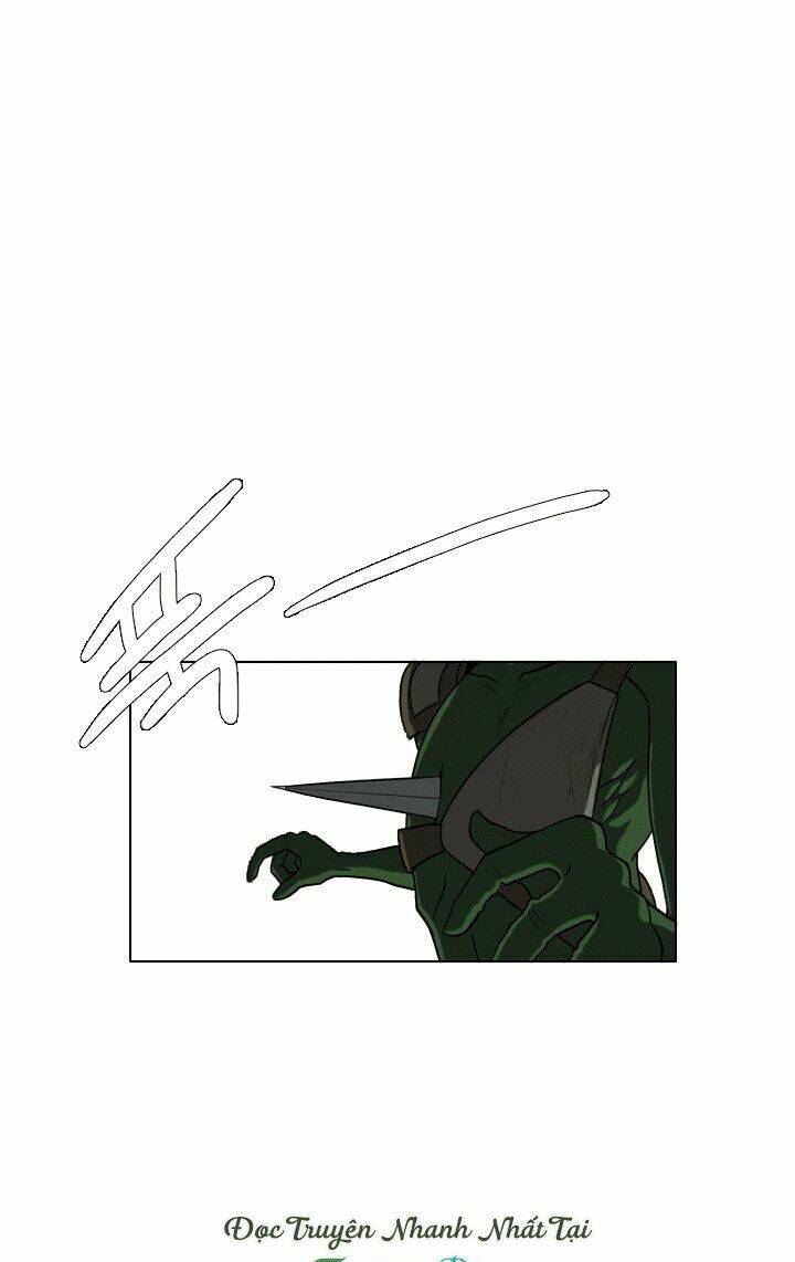 m. m. g. chapter 13 15