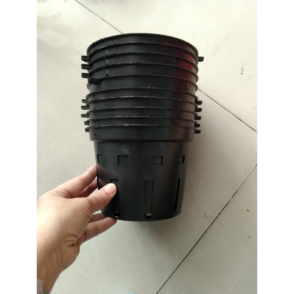 Compo 5 chậu nhựa trồng lan