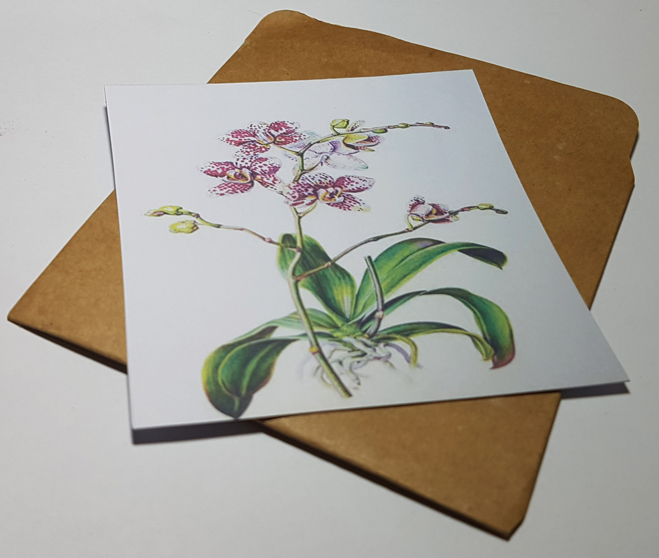 Thiệp phong cách Vintage card quà cám ơn ,chúc mừng sinh nhật và giử tặng người thân yêu