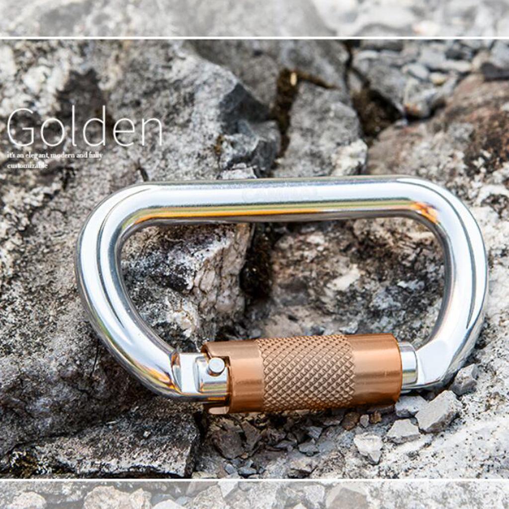 25KN Twist Gate Auto Locking Carabiner for Climbing Mountaineering