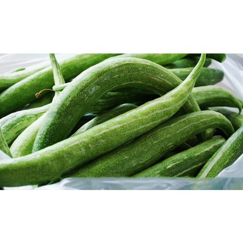 HẠT GIỐNG MƯỚP NHẬT- Xuất xứ: Việt Nam- 5 hạt/gói