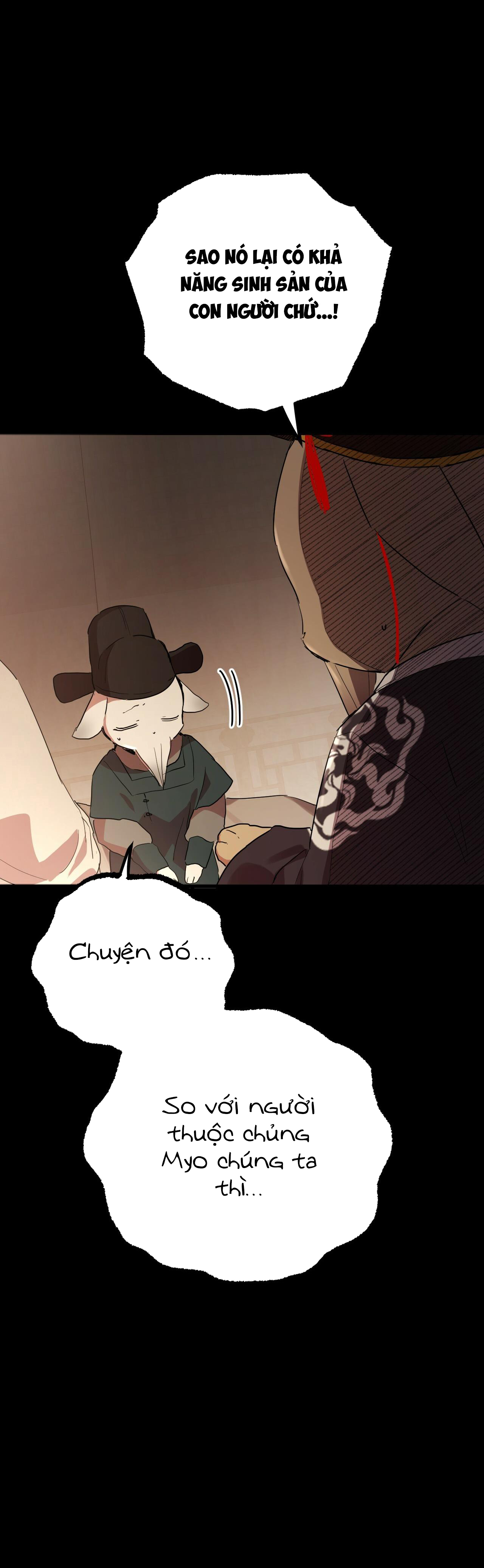 những chú thỏ của hapypy chapter 12 48