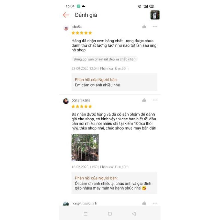 Lưới Bẫy Chim Cu Gáy, Chào mào , sẻ... 15M - 60M cao 5M - sale to