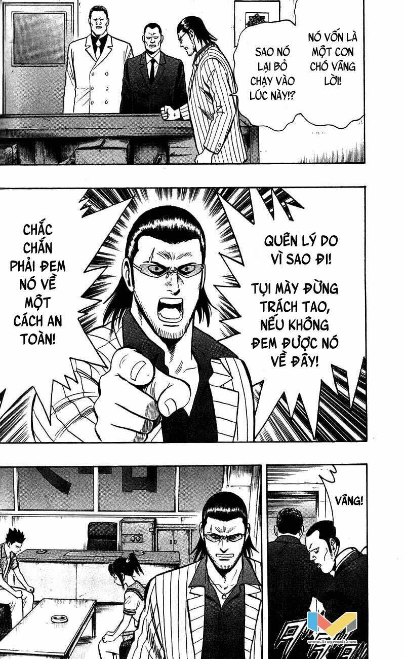 animal sense chapter 6 33