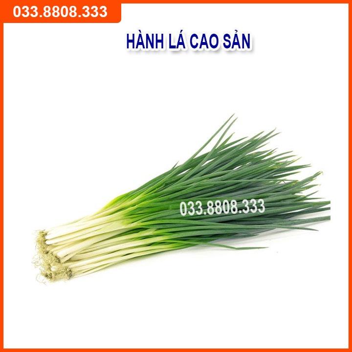 Bộ 4 Hạt Giống Cải Bó Xôi -Hành - Hẹ - Xà Lách Đăm Dễ Trồng Và Chăm Sóc