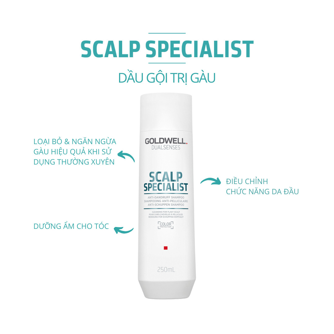 Dầu Gội Sạch Gàu Goldwell Scalp Specialist Làm Sạch Sâu, Giảm Ngứa, Ngăn Ngừa Gàu Quay Trở Lại 250ml