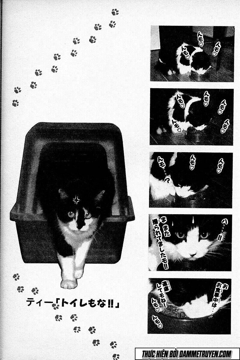 shin kotaro makaritoru! juudouhen chapter 110 16