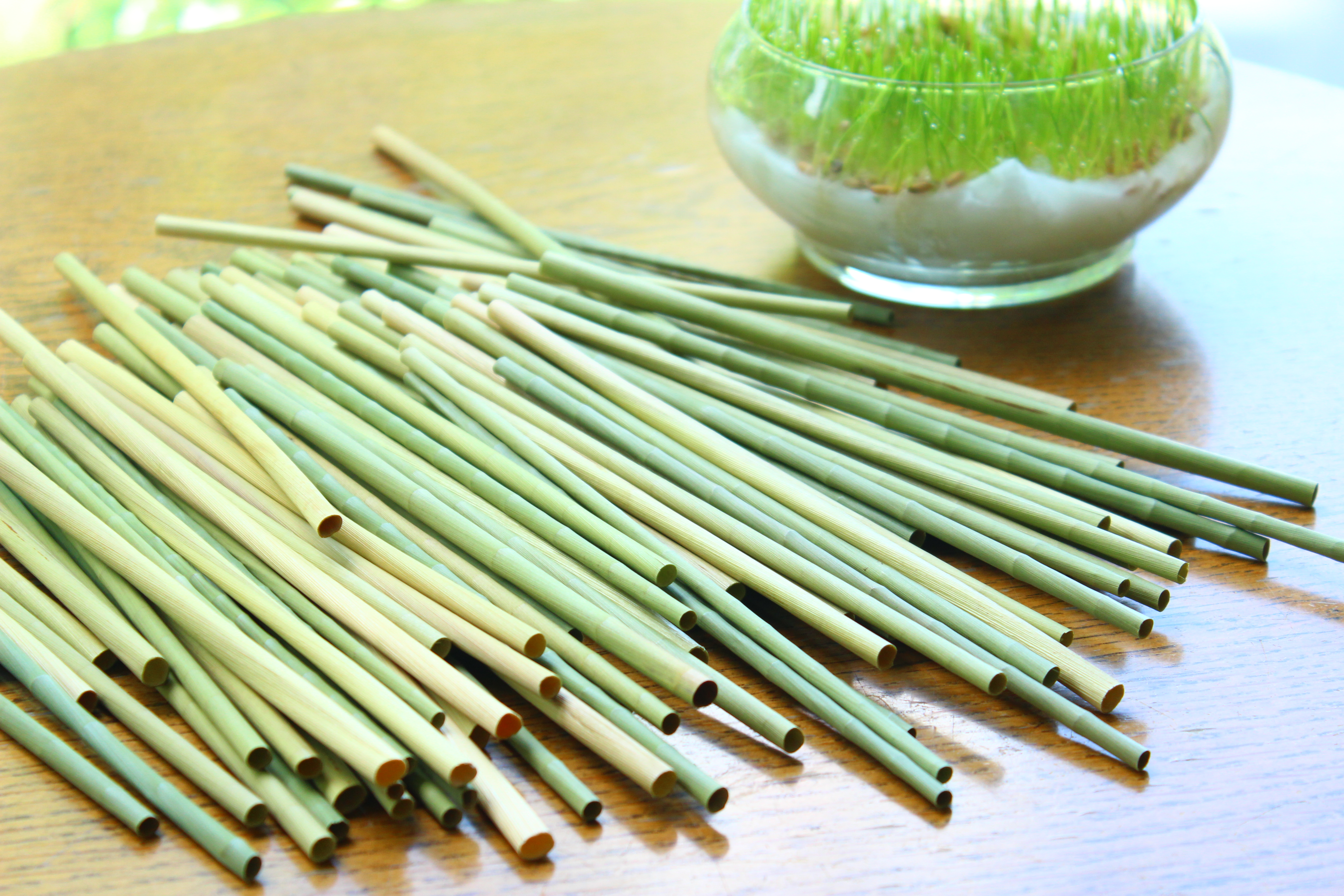 Ống Hút Cỏ Bàng Khô (Dried Grass Straws) - Loại dùng cho Trà&Cafe, 100% Tự Nhiên, Phân hủy hoàn toàn; Chứng nhận FDA toàn cầu. Công năng & Bảo quản tương đương Ống hút nhựa, Loại hộp 100 ống