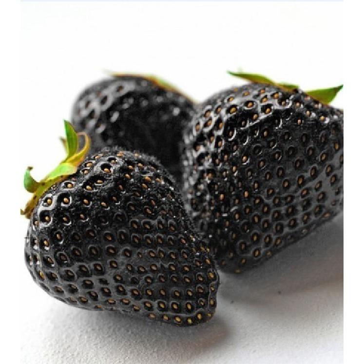 Hạt Giống Dâu Tây Đen F1 100 hạt/gói