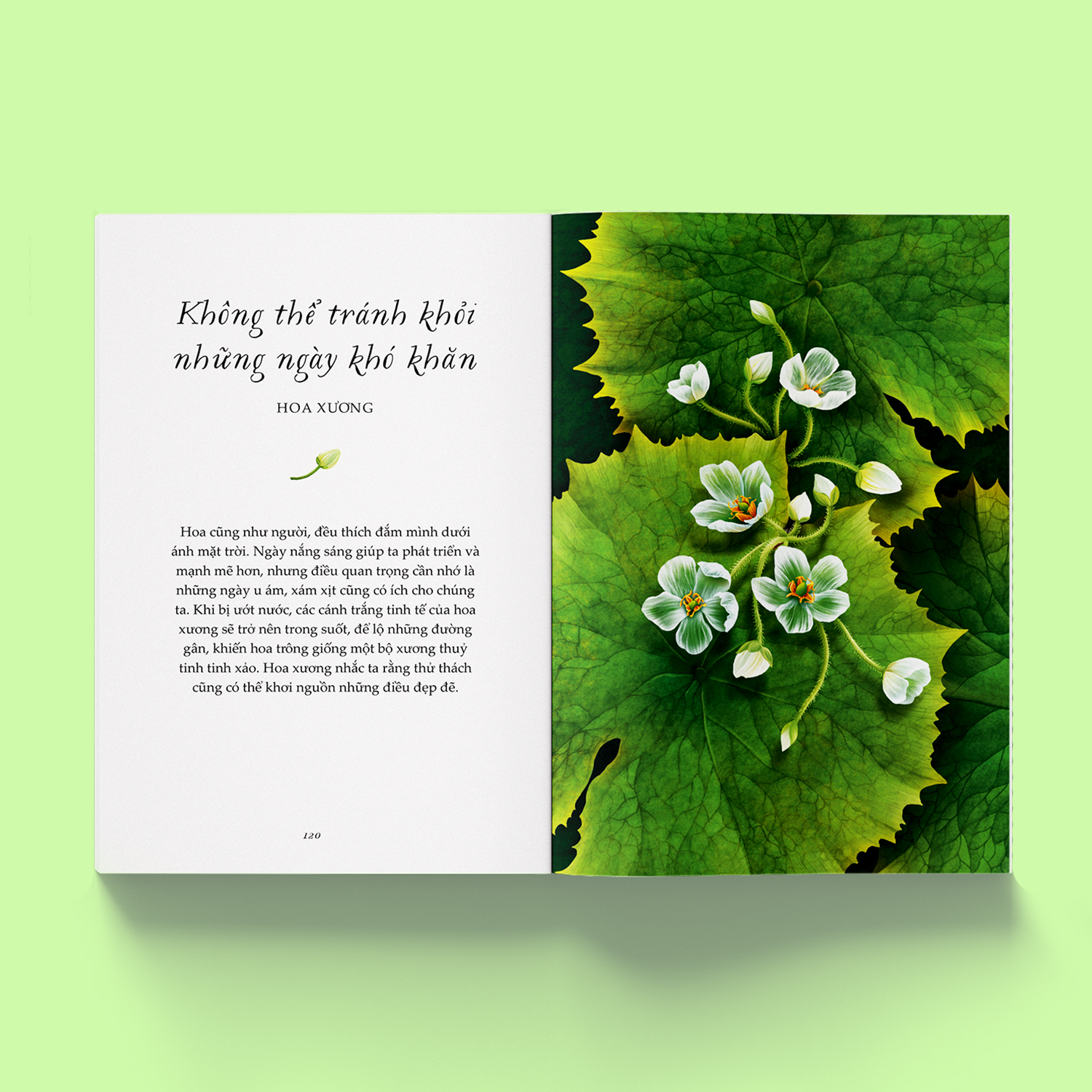 Sách Vươn Mình Như Những Đoá Hoa - Những Bài Học Nhỏ Để Có Nguồn Vui Và An Lành Bất Tận