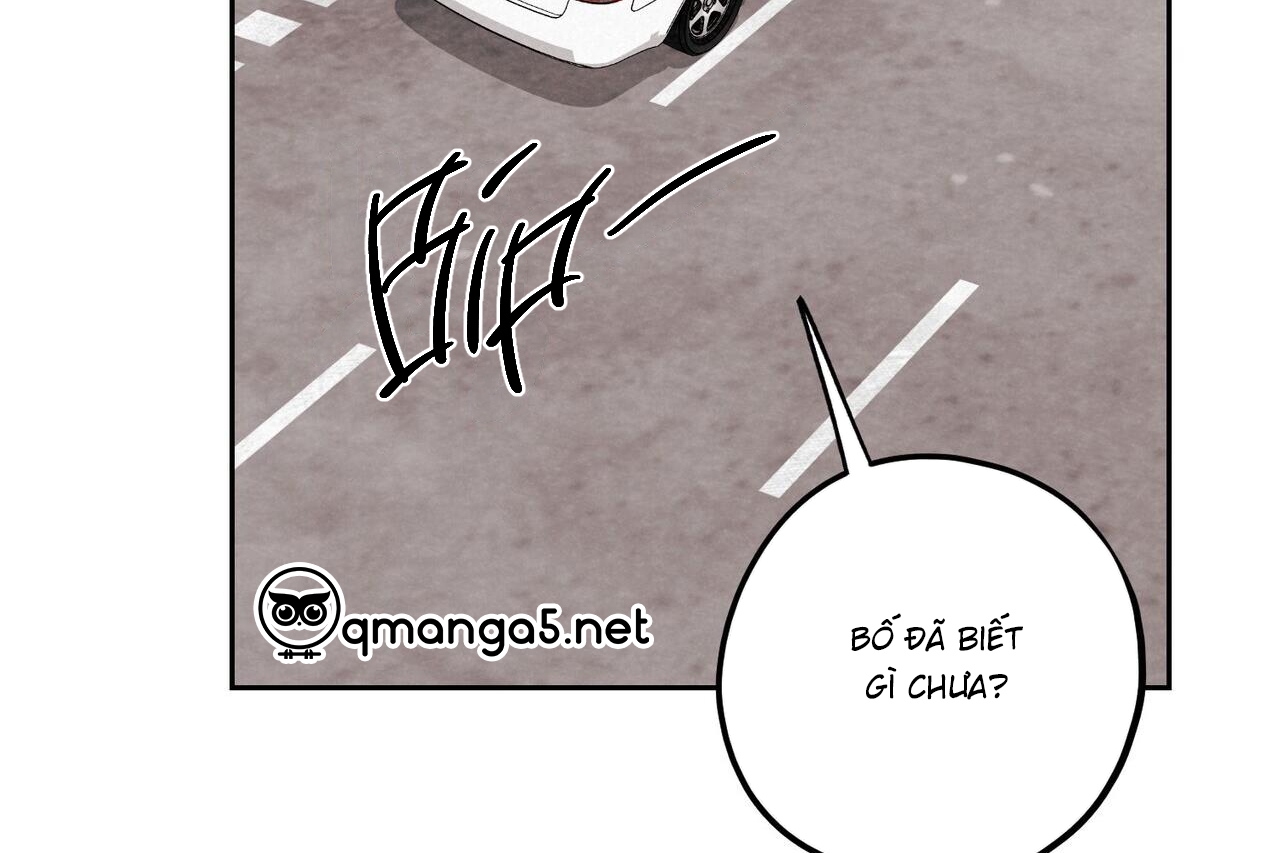 chàng dâu nhà họ kang chapter 31 115