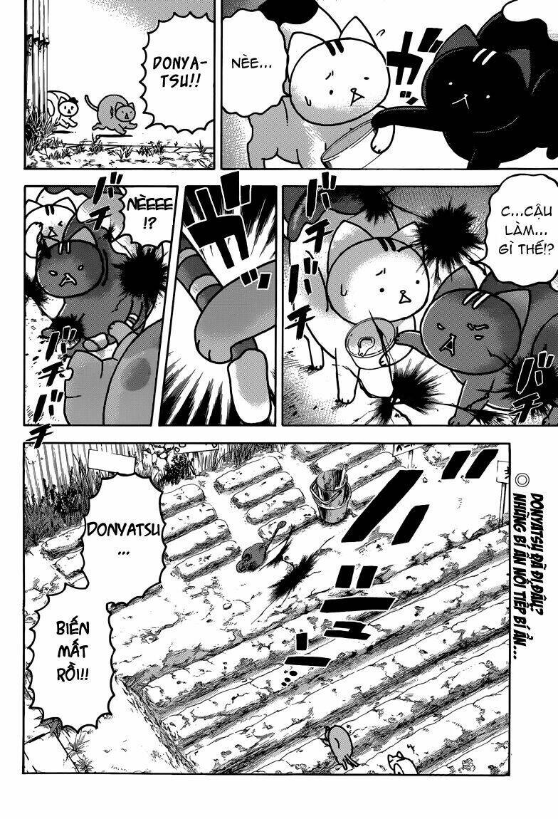 donyatsu chapter 35 16