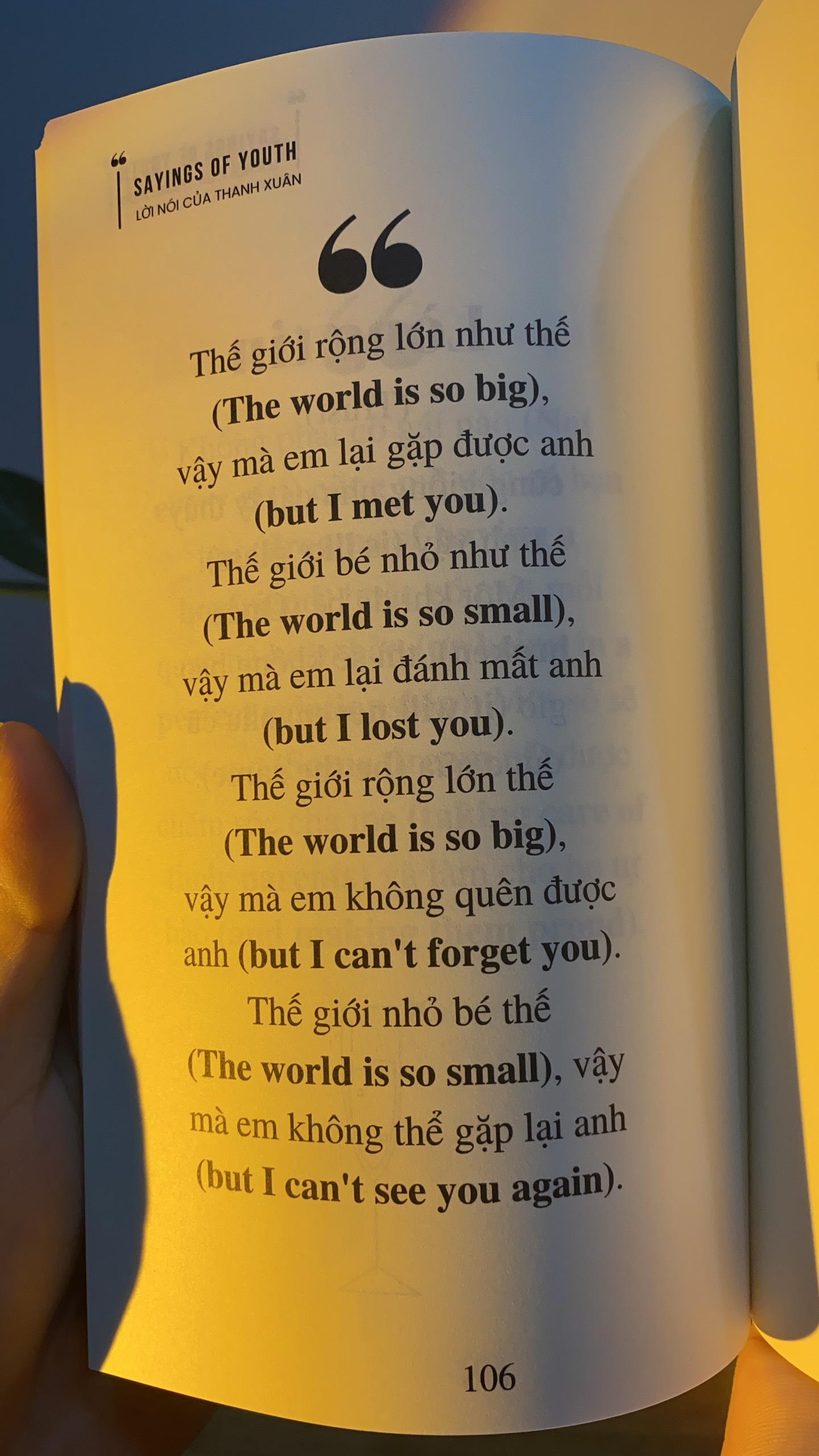 Sayings Of Youth - Lời Nói Của Thanh Xuân