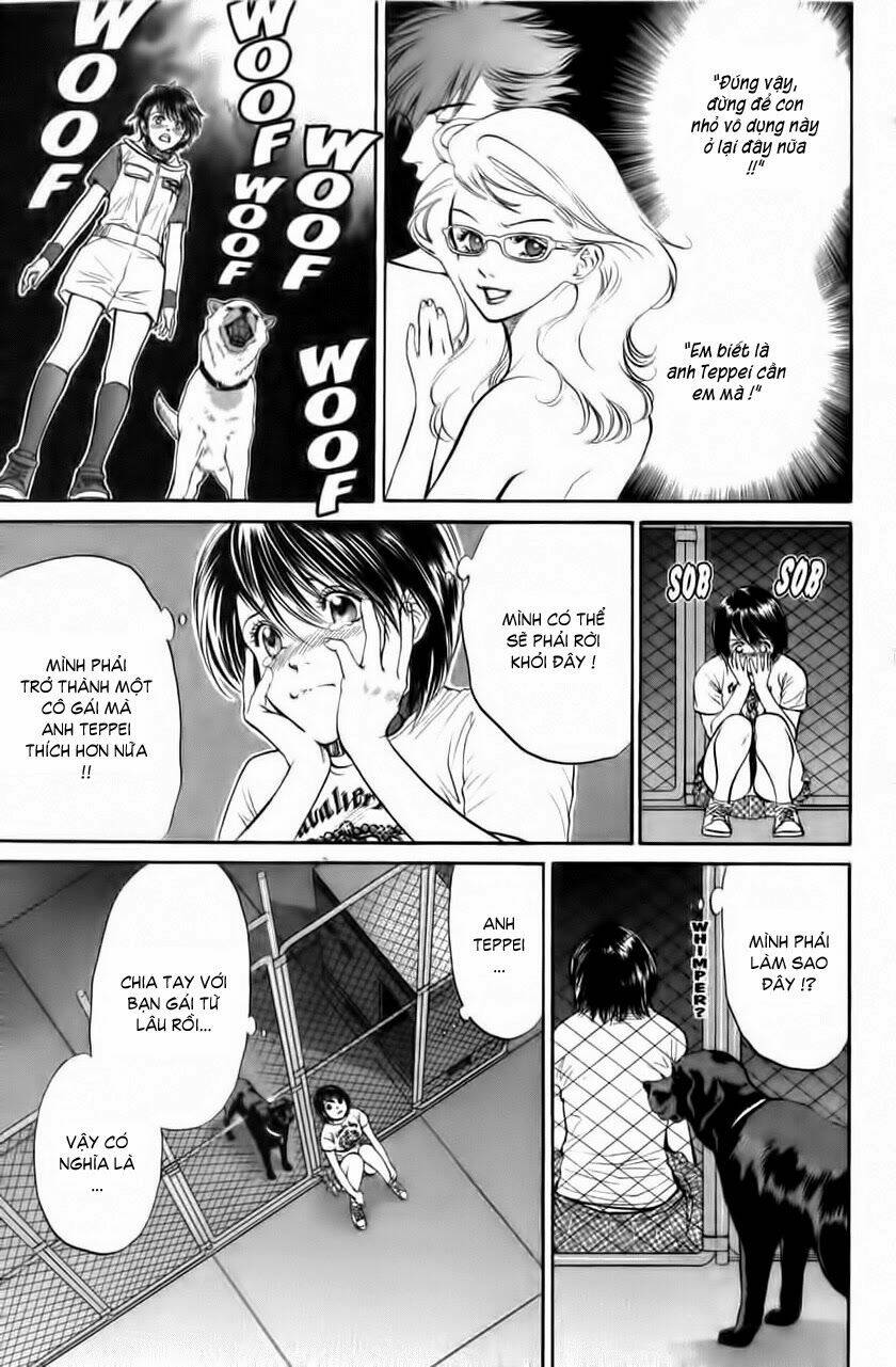 cô nàng yêu chó chapter 33 9