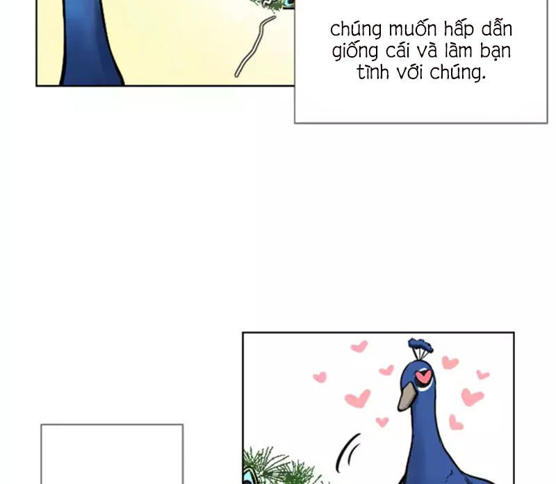 in our lifetime chapter 9 4