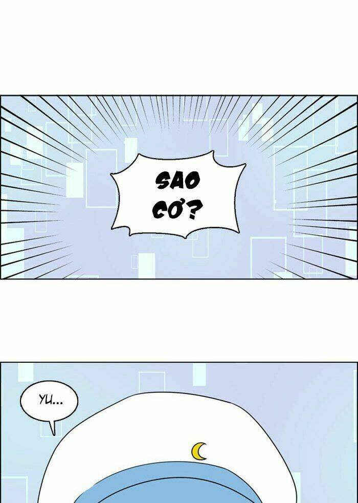 no scope chapter 29 41