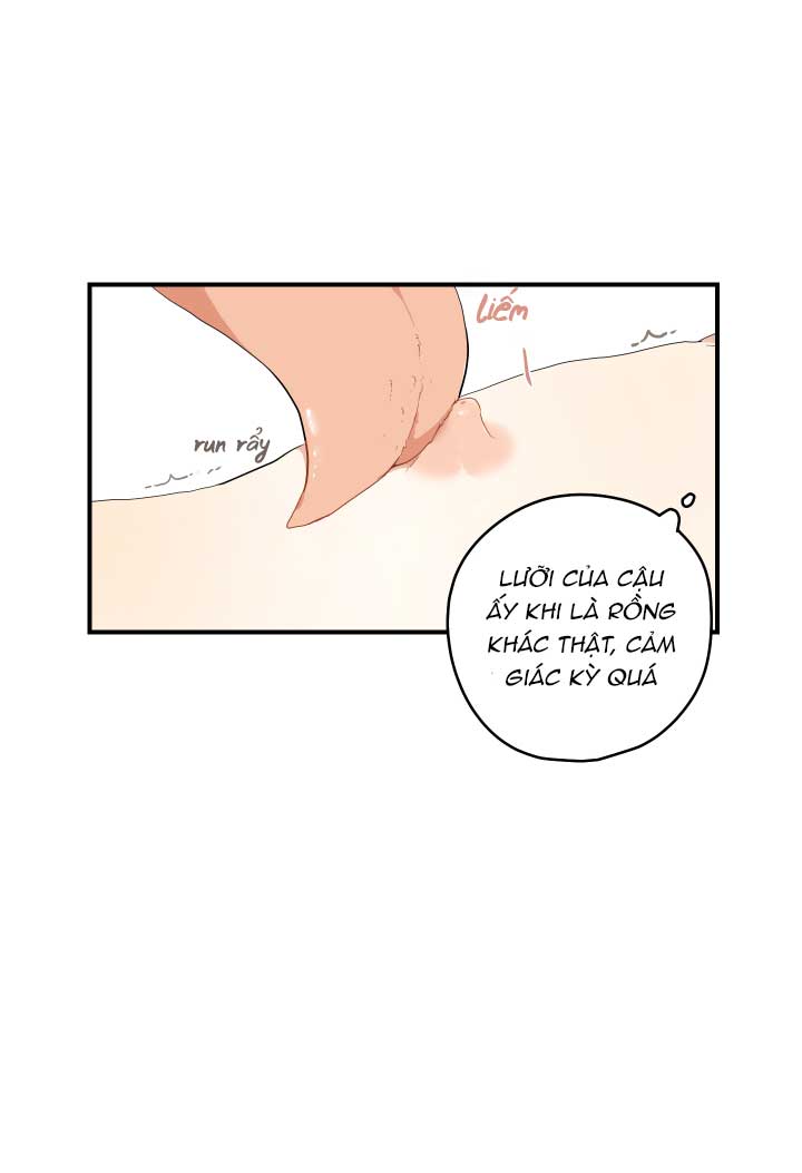 đường hoa liên kiều rơi chapter 21 12